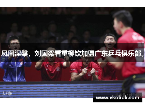 凤凰涅槃，刘国梁看重柳钦加盟广东乒乓俱乐部。